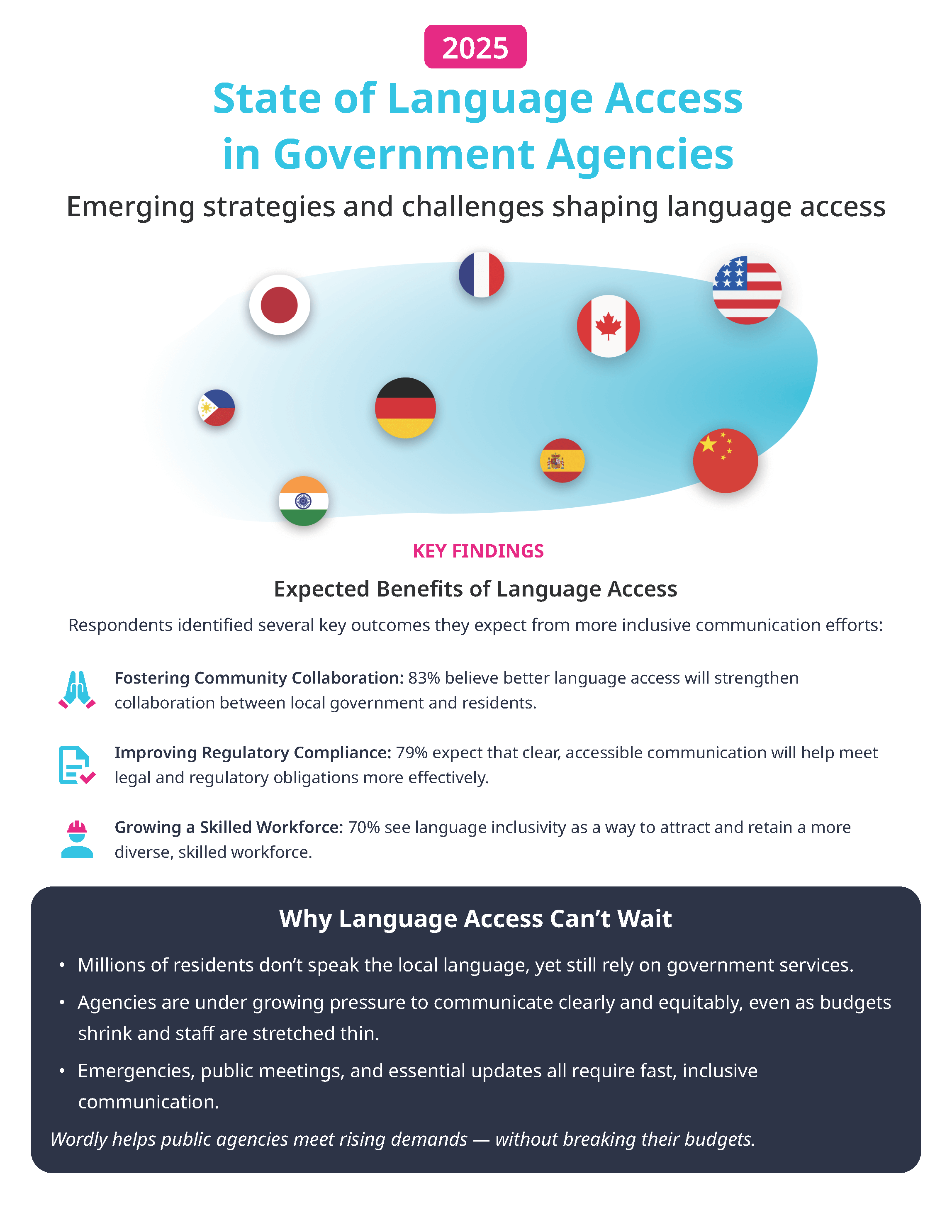 Language access infographic 2025